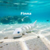 Finna - The Shark