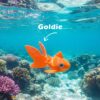 Goldie - The Goldfish