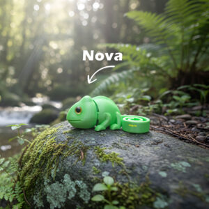 Nova - The Chameleon